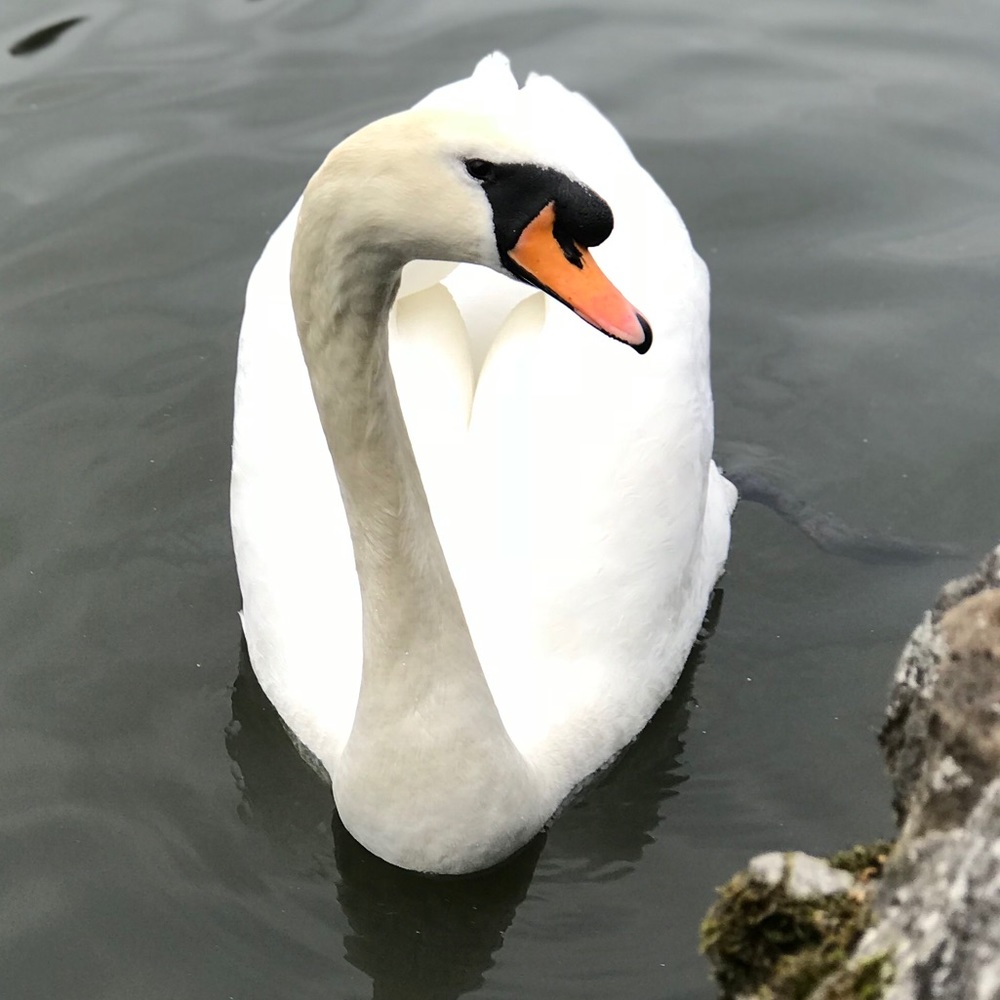 Meet your Posher, Sabrina